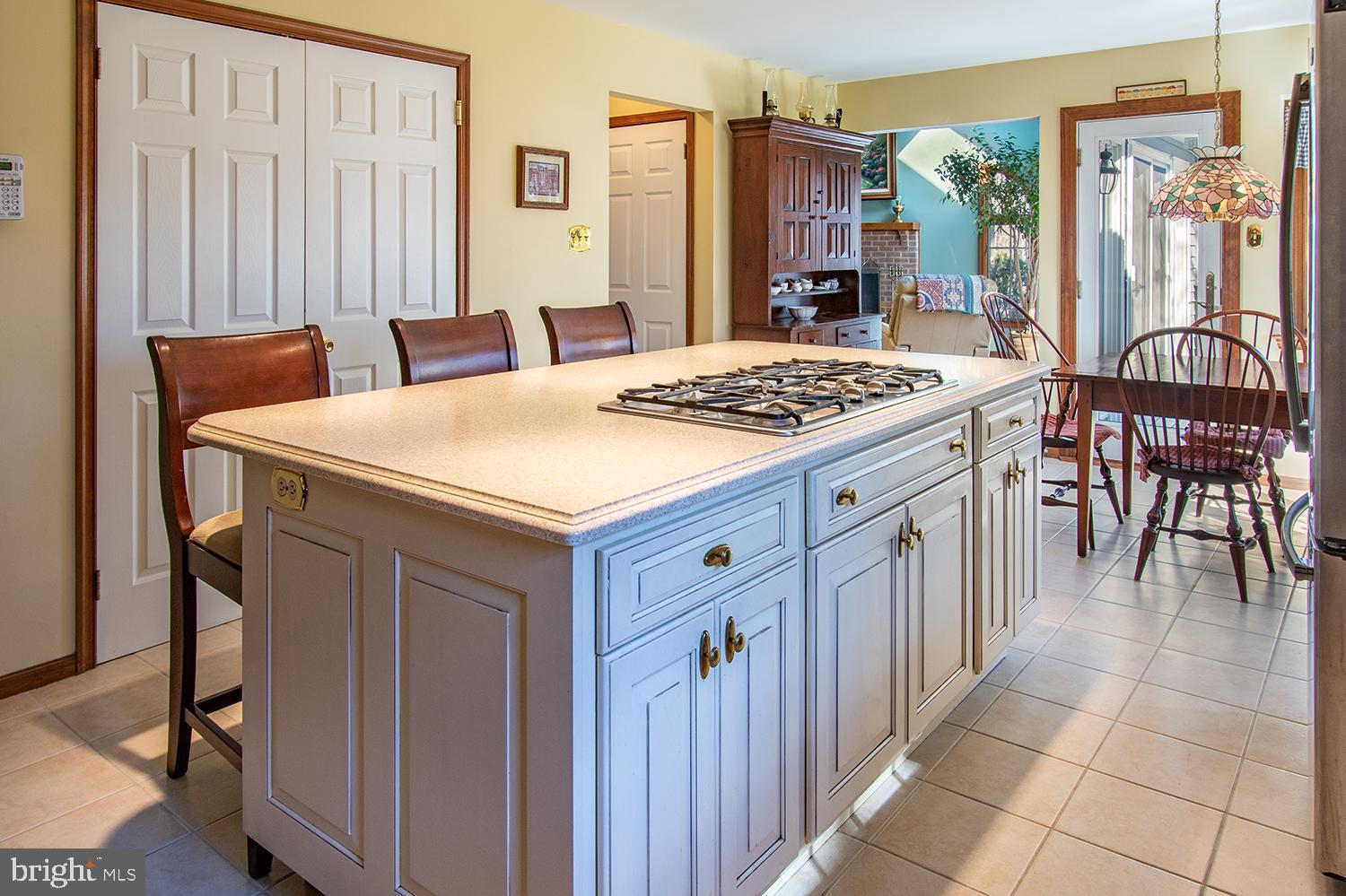 6 Arncliffe Rise Medford, NJ 08055 - Photo 10 of 29 Built in gas range in the island, walk in pantry