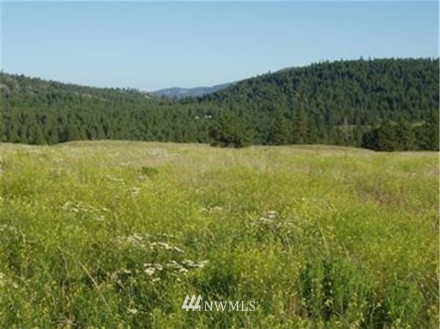 010 Cape Labelle Road Tonasket, WA 98855 - Photo 1 of 3