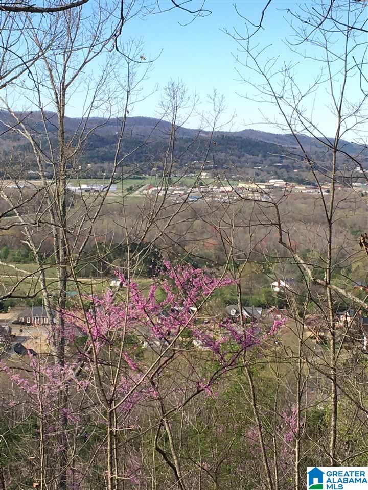 230 County Line Road Oxford, AL 36203 - Photo 5 of 50