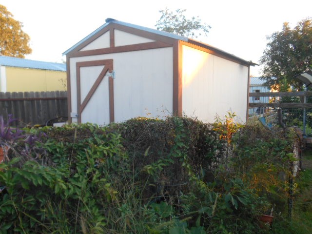 1207 Loving Street Mason, TX 76856 - Photo 10 of 10 a view of a house with a small yard and floor to ceiling window