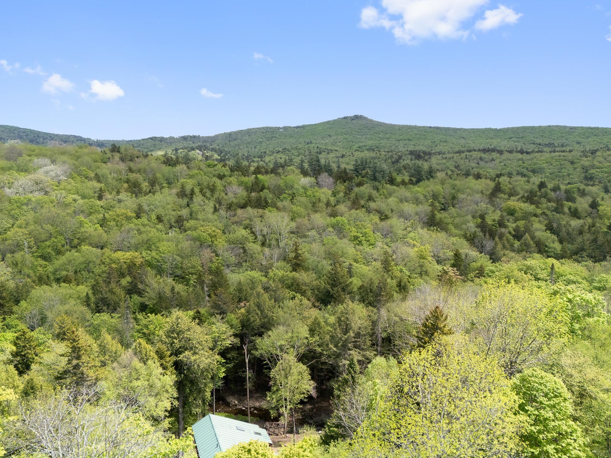 34 Ellis Brook Road West Dover, VT 05356 - Photo 4 of 44
