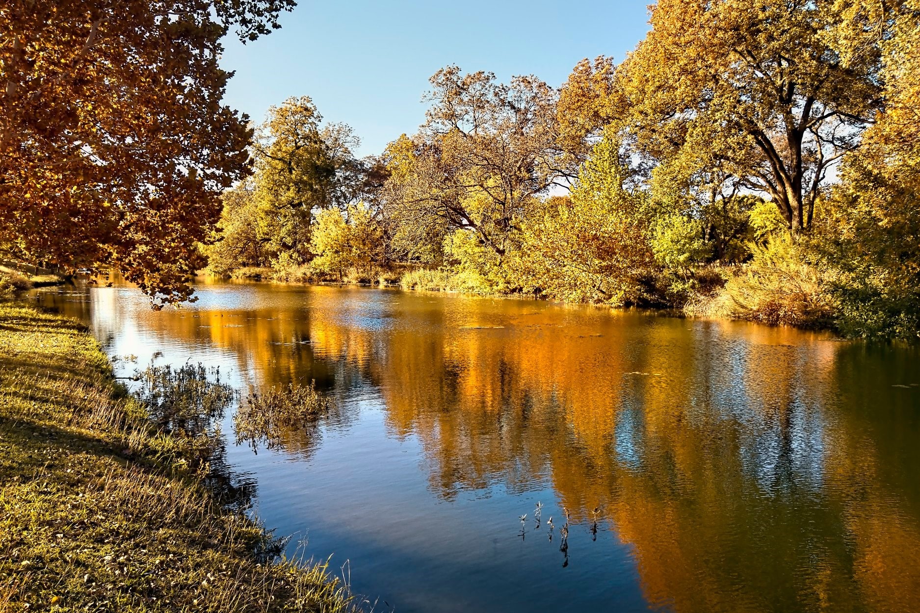 167 Whispering Wind Drive Georgetown, TX 78633 - Photo 20 of 29 Enjoy the trails alongside creeks/ponds.