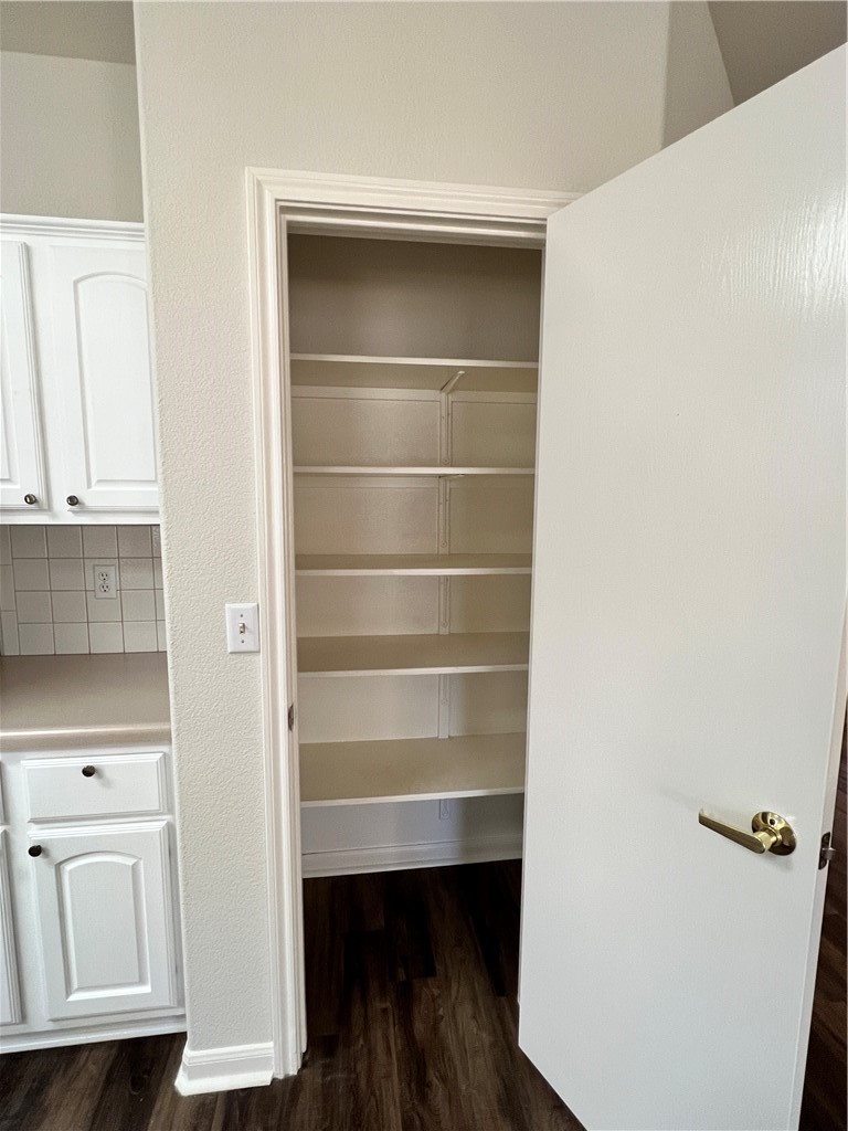 167 Whispering Wind Drive Georgetown, TX 78633 - Photo 6 of 29 Kitchen pantry.
