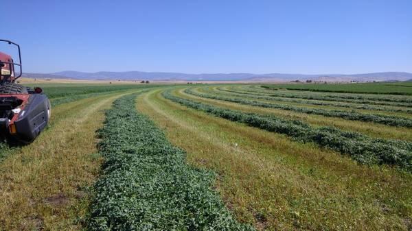 669-105 Susanville Road Adin, CA 96006 - Photo 1 of 53 Hay Field
