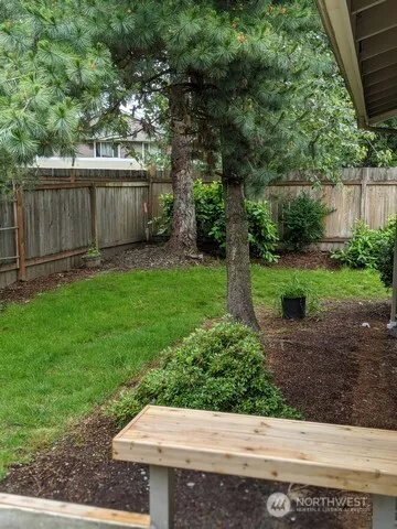 a backyard of a house with plants and large tree