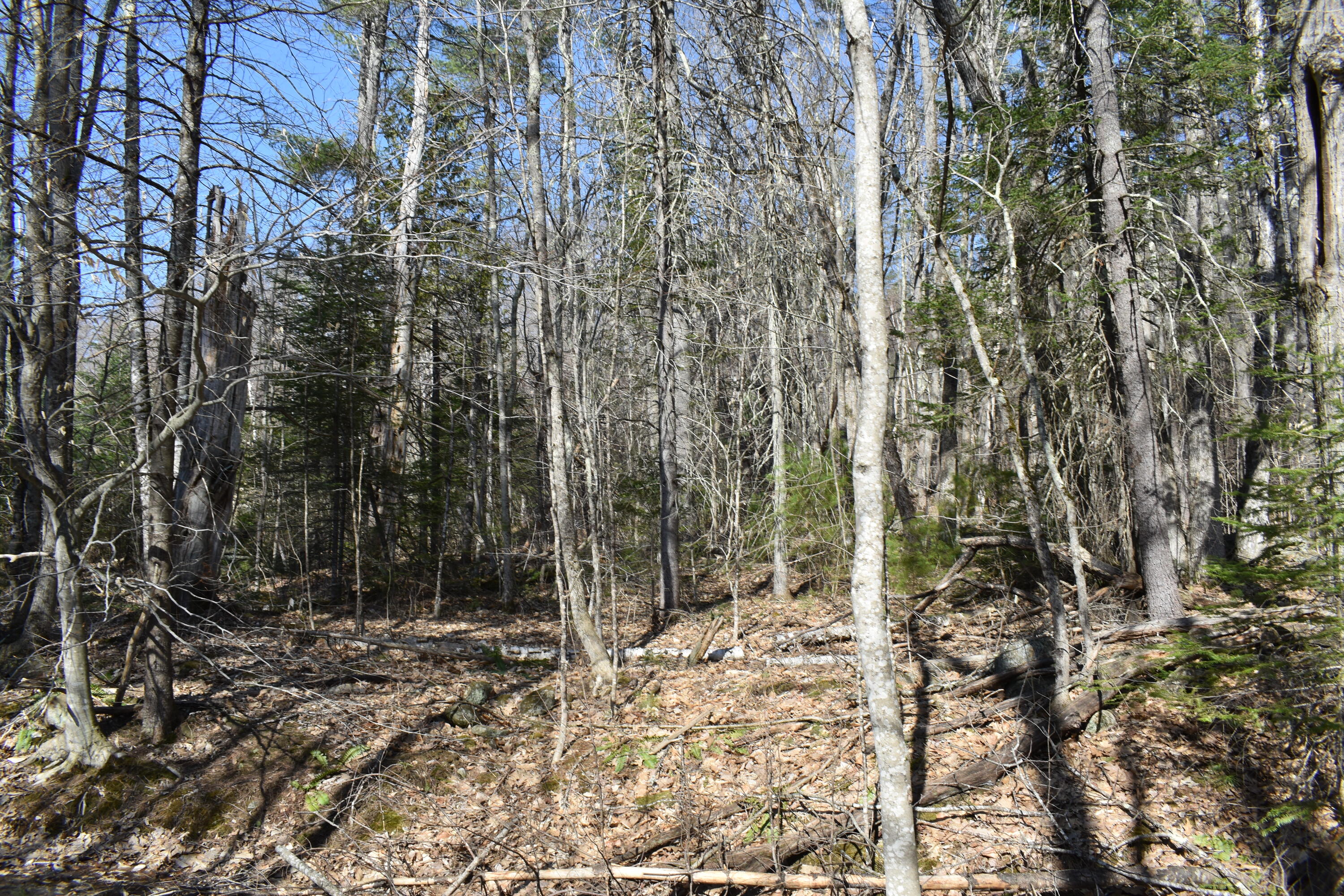 9 Fellows Road Winthrop, ME 04364 - Photo 1 of 4 DSC_0541