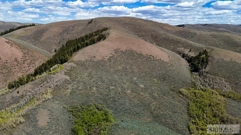 Tbd Tbd White Ridge Road Soda Springs, ID 83276 - Photo 12 of 22