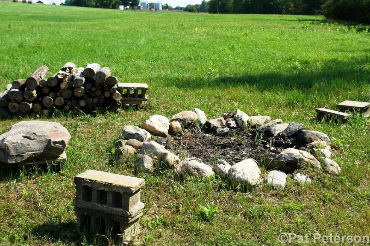 2131 West Hillis Road Stanton, MI 48888 - Photo 23 of 28 Fire Pit and Wood
