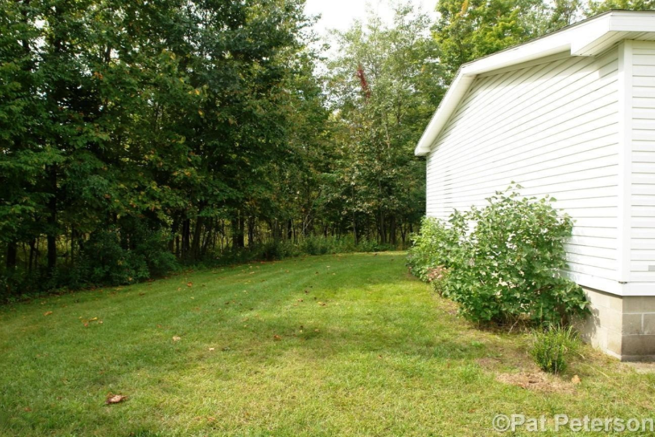 2131 West Hillis Road Stanton, MI 48888 - Photo 24 of 28 Side View