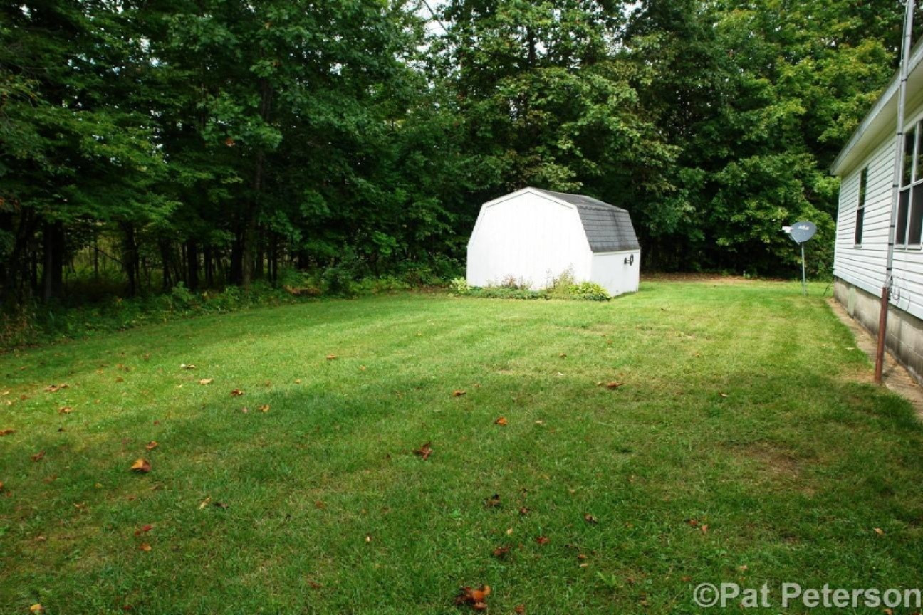 2131 West Hillis Road Stanton, MI 48888 - Photo 25 of 28 Back Yard