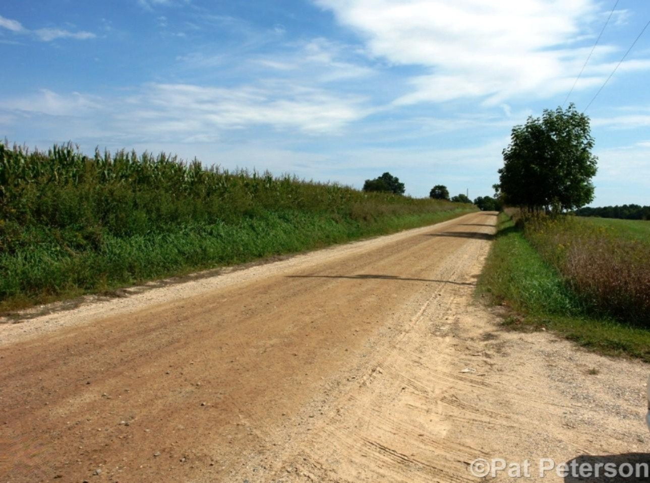 2131 West Hillis Road Stanton, MI 48888 - Photo 27 of 28 Road View looking East
