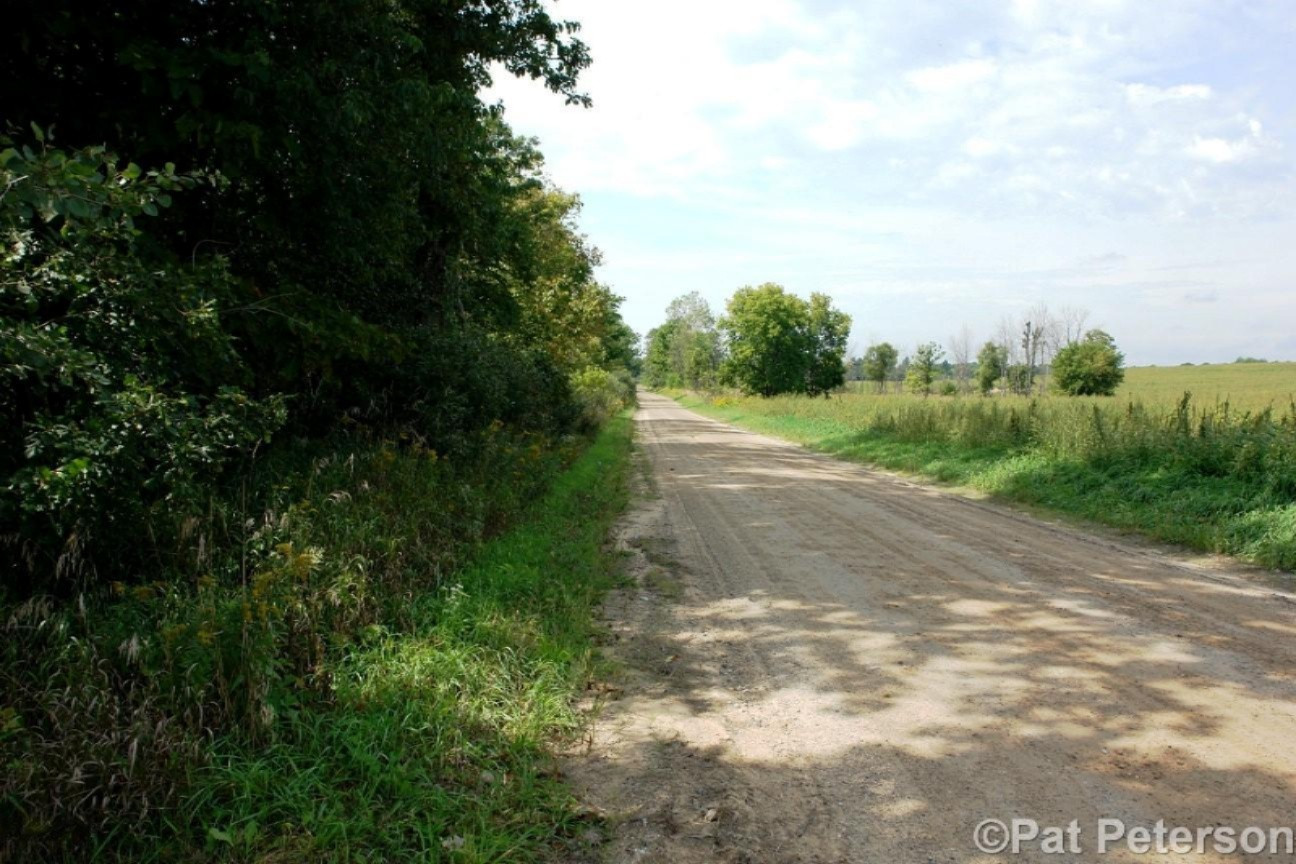 2131 West Hillis Road Stanton, MI 48888 - Photo 28 of 28 Road View looking West