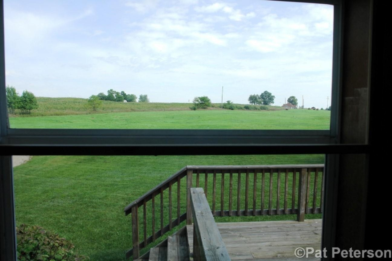 2131 West Hillis Road Stanton, MI 48888 - Photo 3 of 28 View out Kitchen Window (2)