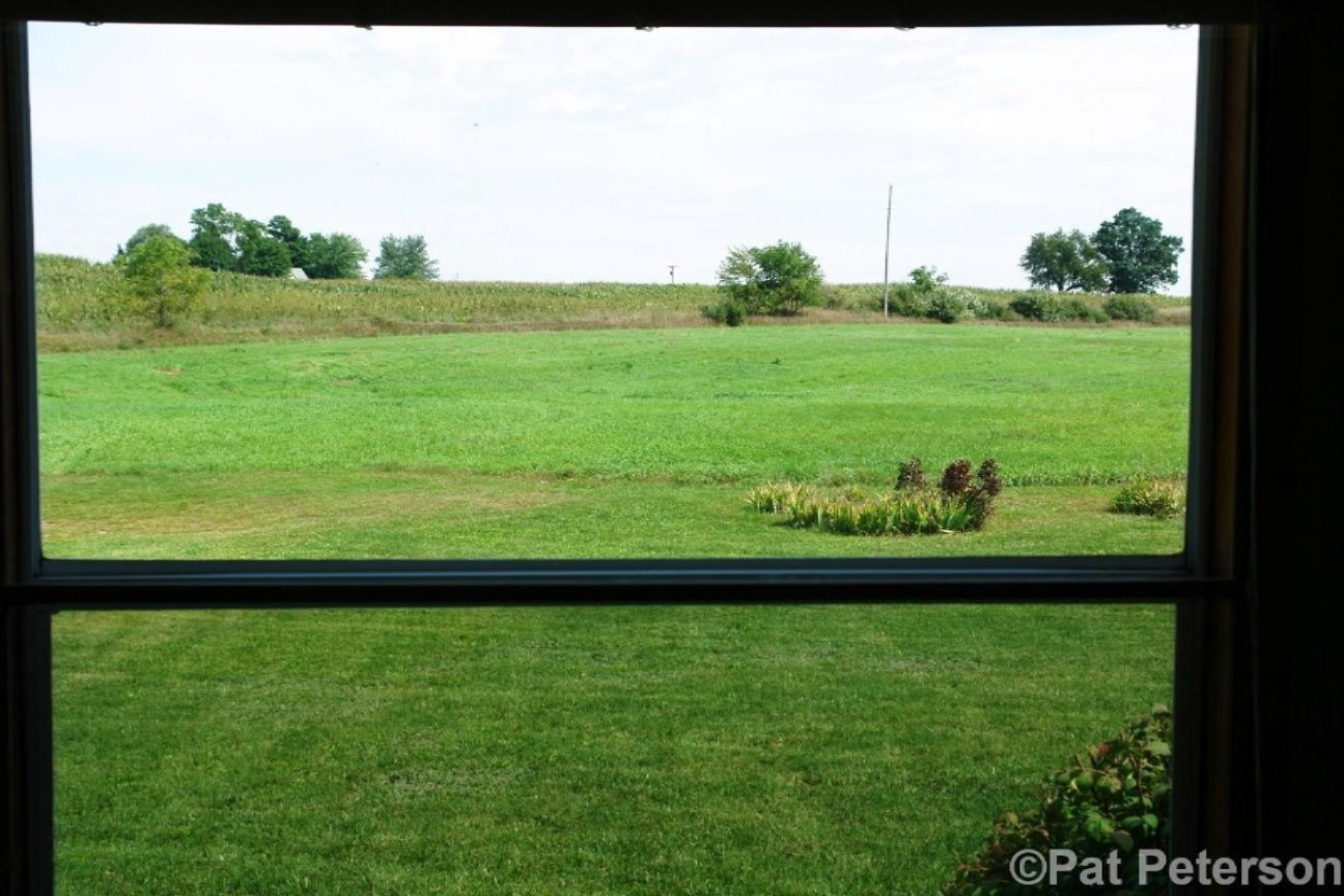 2131 West Hillis Road Stanton, MI 48888 - Photo 4 of 28 View out Window in Eating Area off Kitch