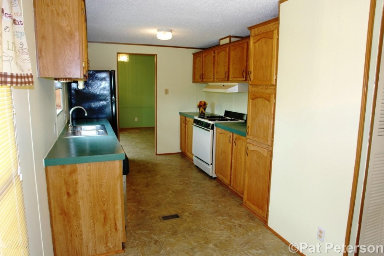 2131 West Hillis Road Stanton, MI 48888 - Photo 5 of 28 Kitchen View 2