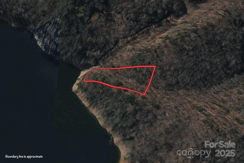 0 Bailey Fields Road Robbinsville, NC 28771 - Photo 12 of 16