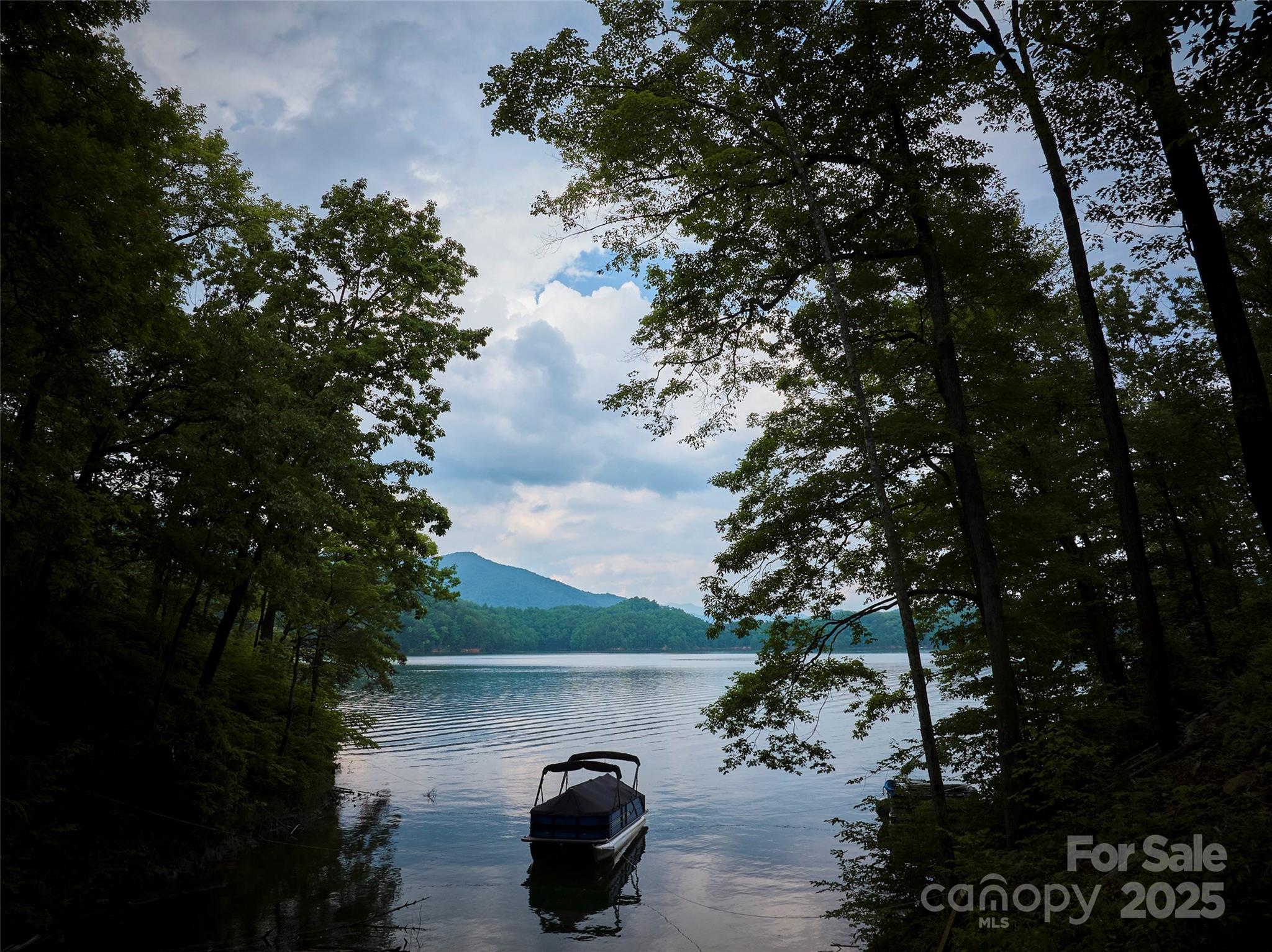0 Bailey Fields Road Robbinsville, NC 28771 - Photo 3 of 16 a view of a lake from a balcony