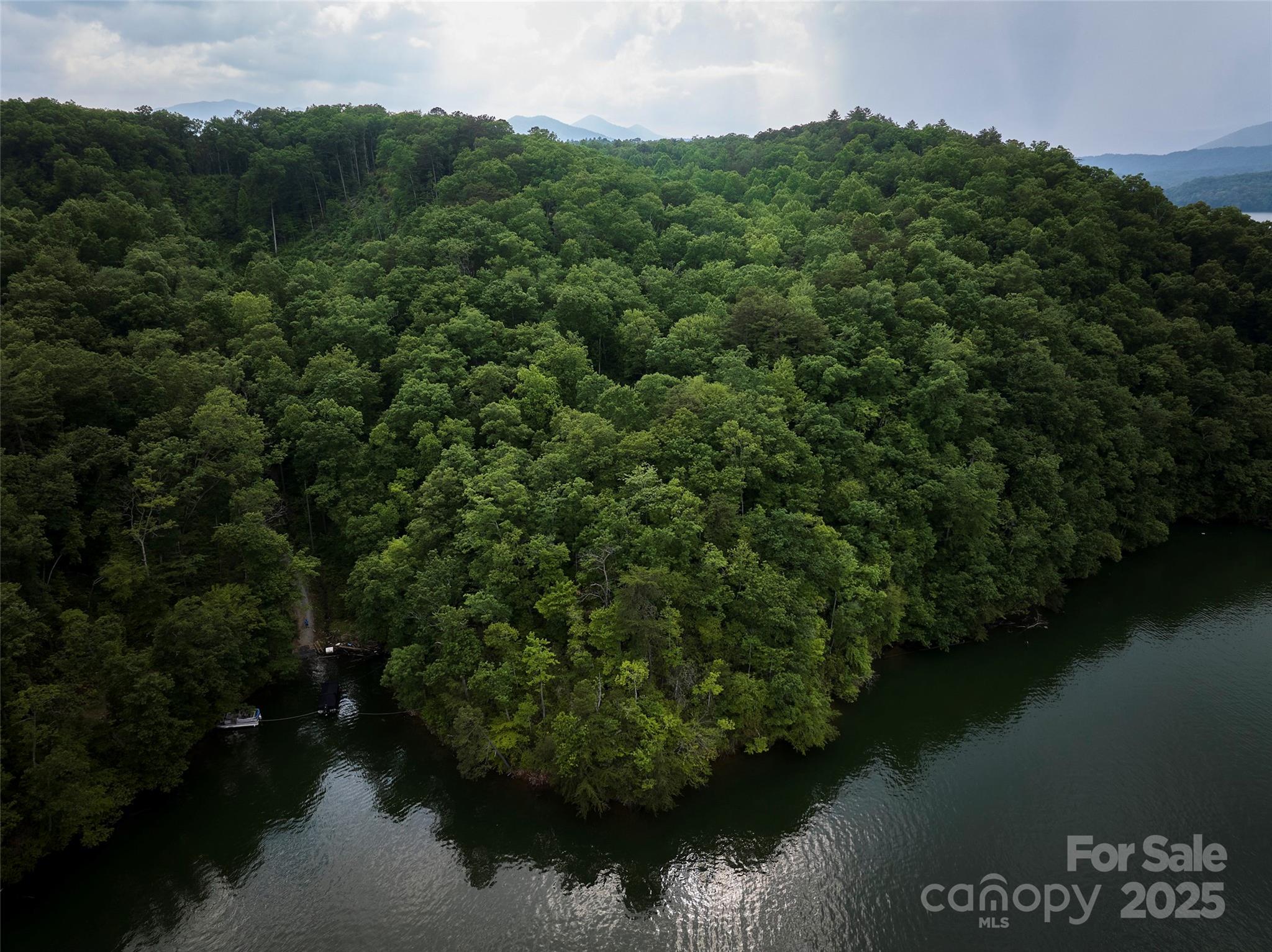 0 Bailey Fields Road Robbinsville, NC 28771 - Photo 4 of 16 an aerial view of a house with a yard