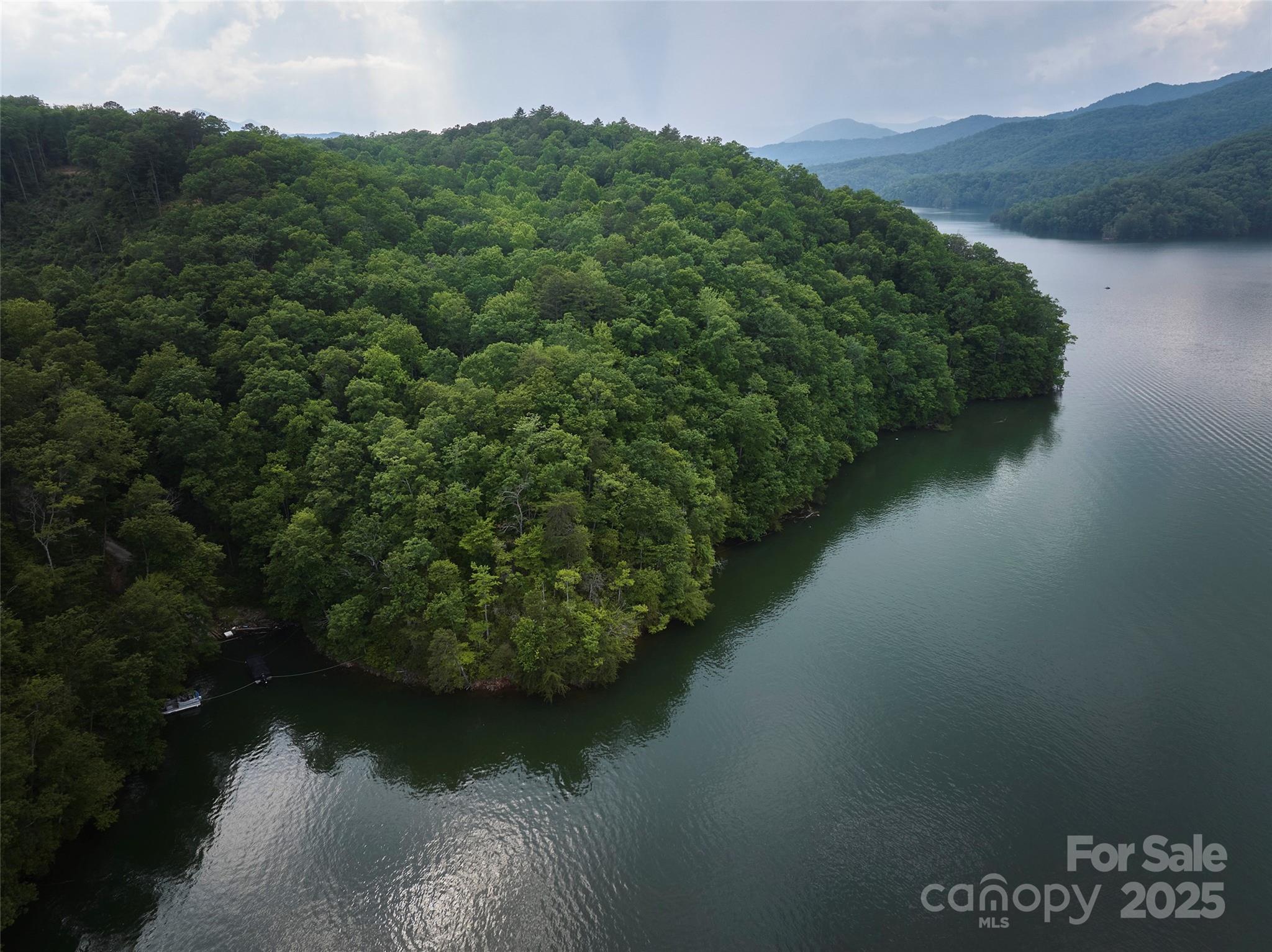 0 Bailey Fields Road Robbinsville, NC 28771 - Photo 5 of 16 a view of a lake with a mountain in the background