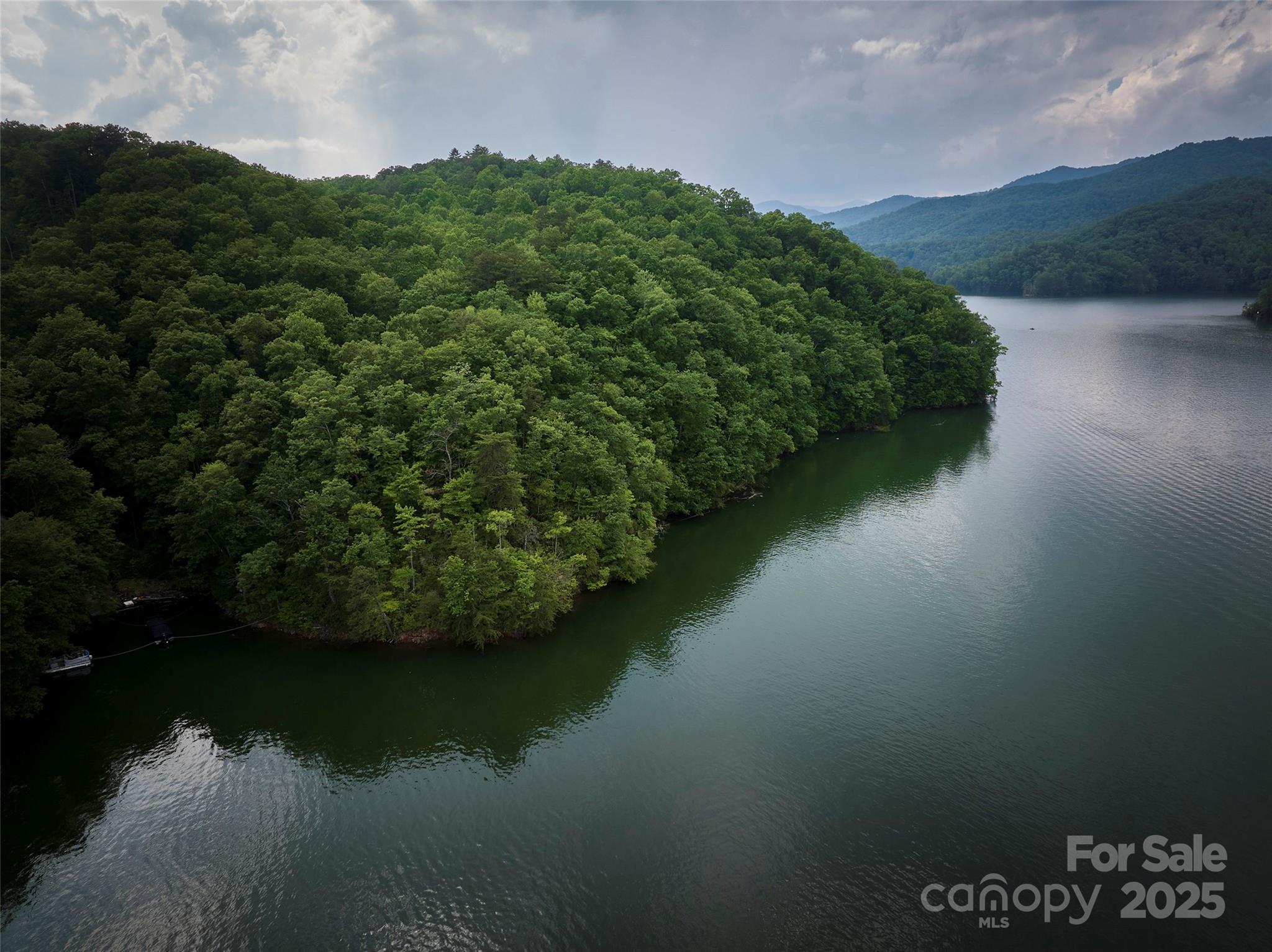 0 Bailey Fields Road Robbinsville, NC 28771 - Photo 6 of 16 a view of a lake from a yard