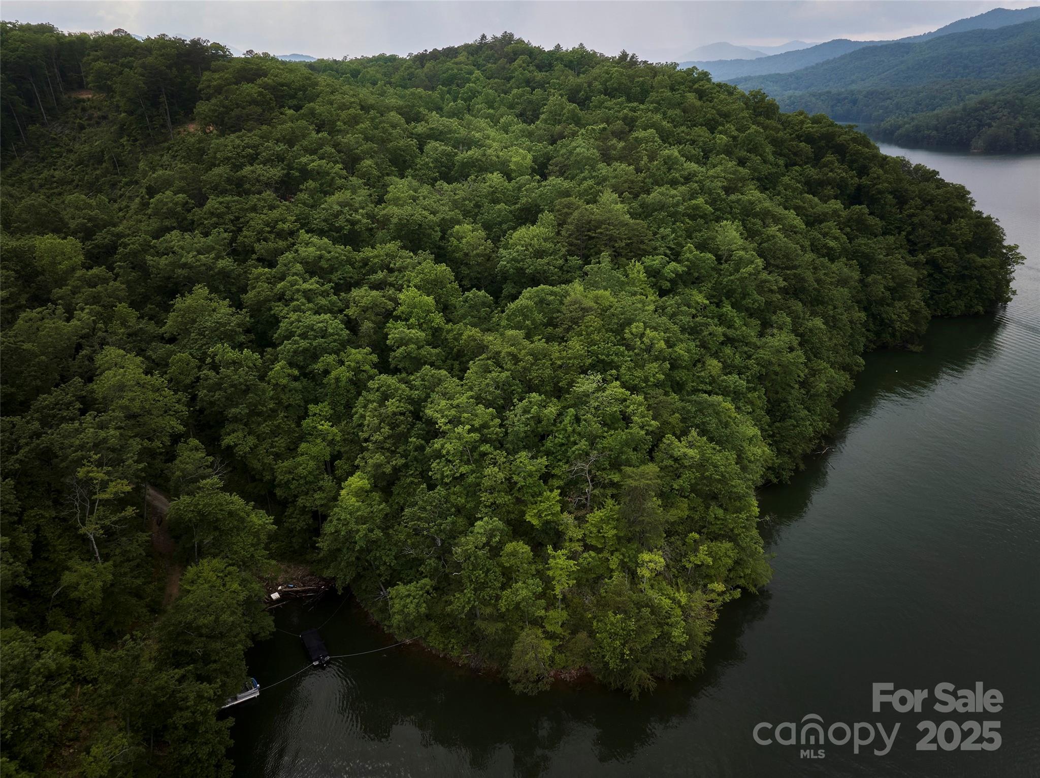 0 Bailey Fields Road Robbinsville, NC 28771 - Photo 8 of 16 a view of a forest with a lake