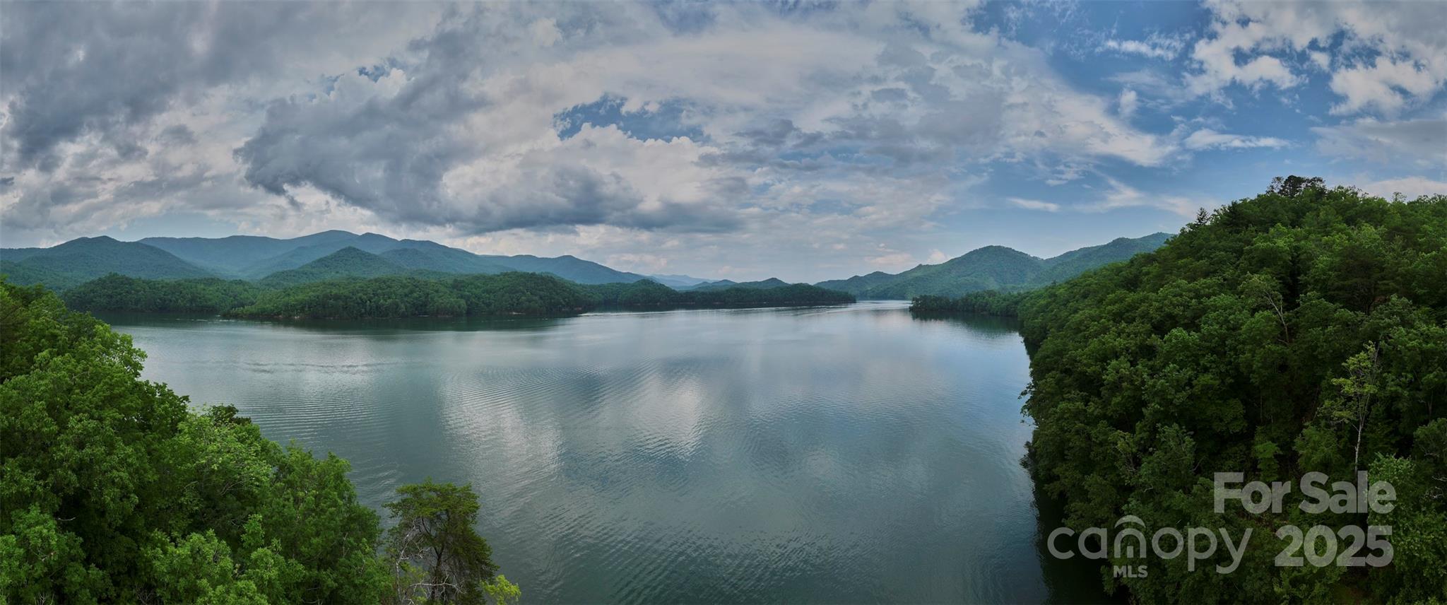 0 Bailey Fields Road Robbinsville, NC 28771 - Photo 10 of 16 a view of a lake in middle of the forest