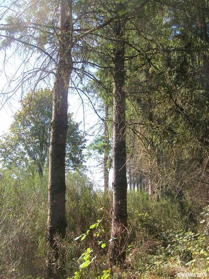 Robinette (lot 1) Road St. Helens, OR 97051 - Photo 5 of 13
