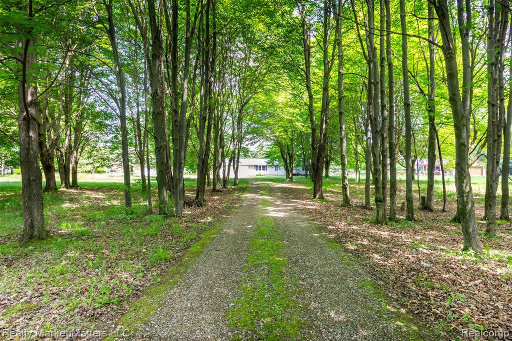 4951 Laur Road North Branch, MI 48461 - Photo 2 of 36