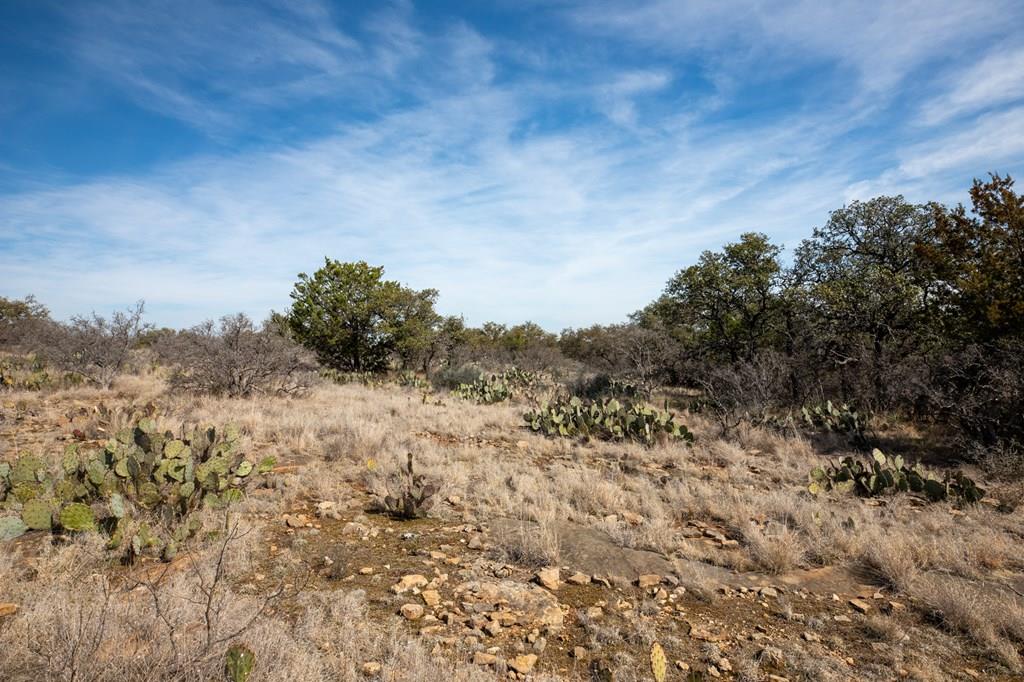 1 Salt Branch Loop, Unit 1 Doss, TX 78618 - Photo 1 of 7 Main View