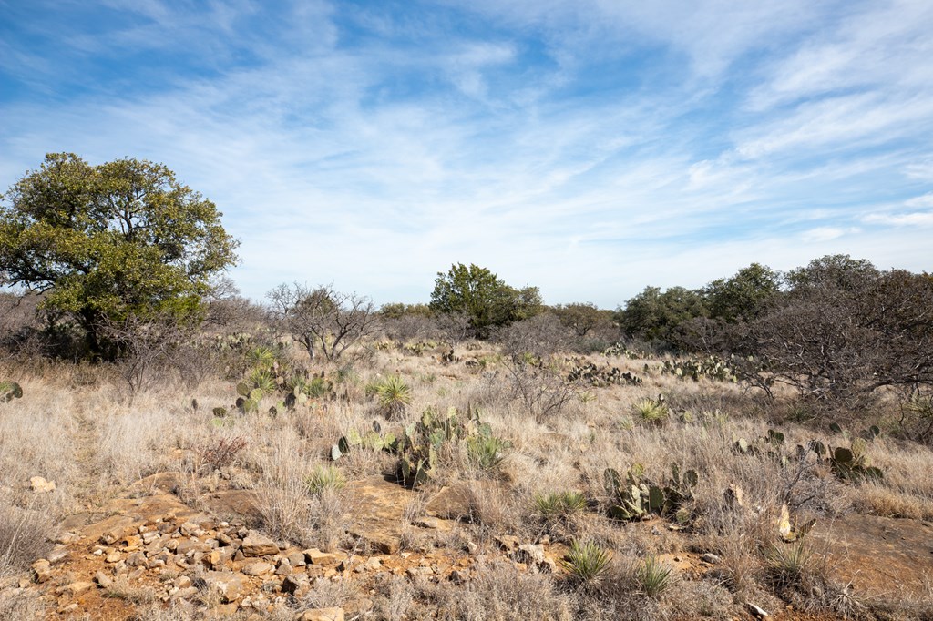 1 Salt Branch Loop, Unit 1 Doss, TX 78618 - Photo 2 of 7