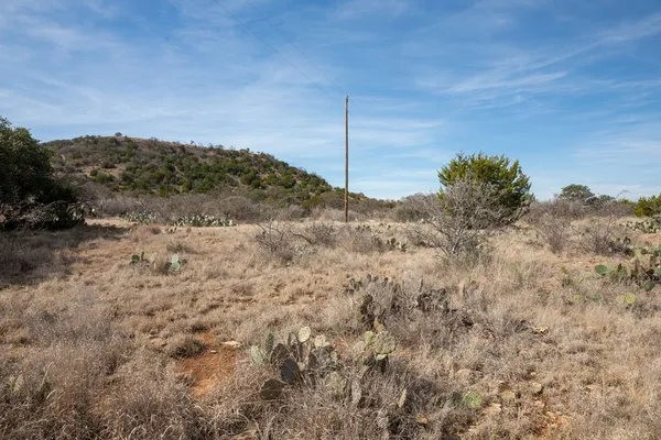 a view of a dry yard with trees