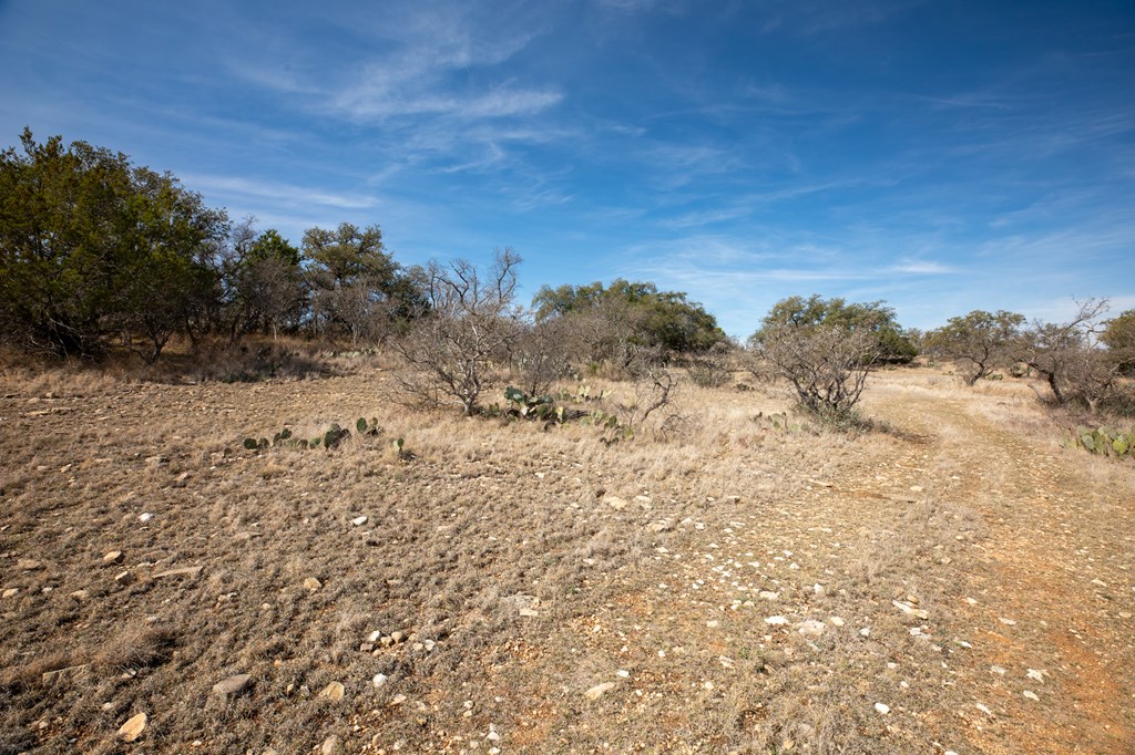 1 Salt Branch Loop, Unit 1 Doss, TX 78618 - Photo 5 of 7