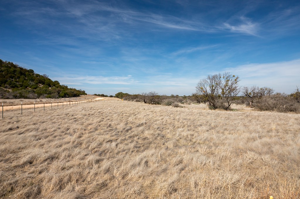 1 Salt Branch Loop, Unit 1 Doss, TX 78618 - Photo 6 of 7