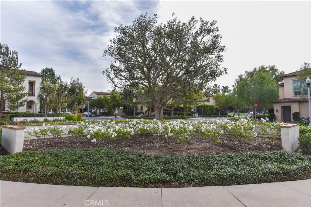 105 Hallmark Irvine, CA 92620 - Photo 28 of 32 a view of a backyard