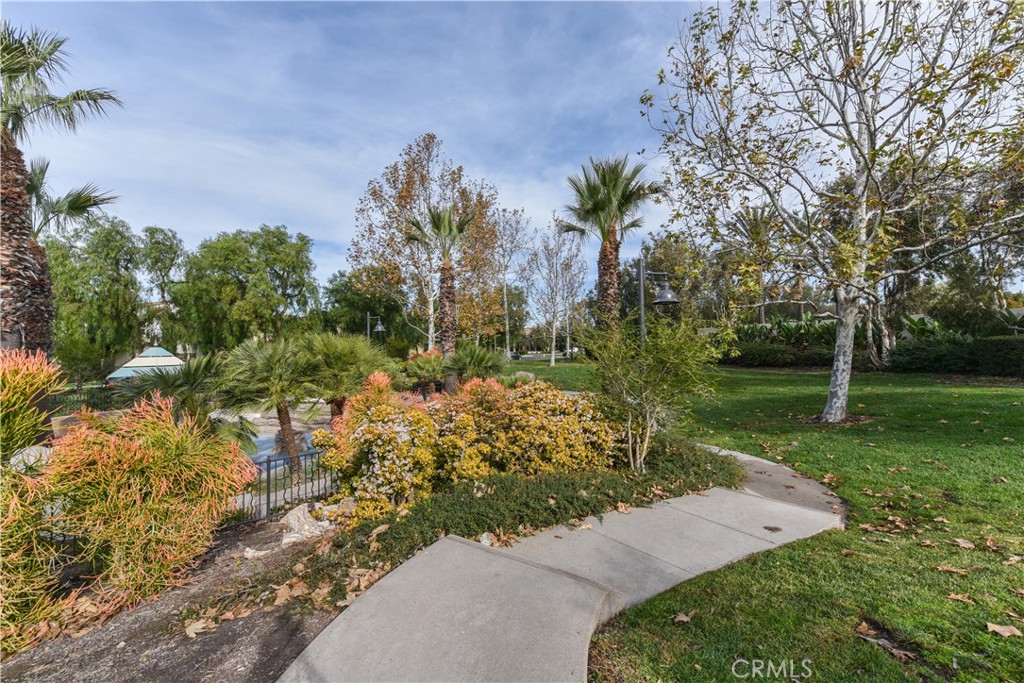 105 Hallmark Irvine, CA 92620 - Photo 29 of 32 a view of a park with large trees