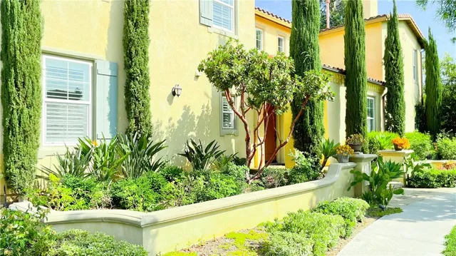 a view of a garden with plants