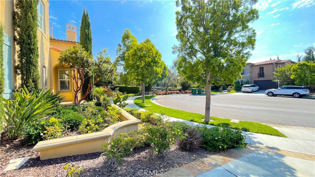 21 Vine Irvine, CA 92620 - Photo 6 of 37 a view of a garden with plants