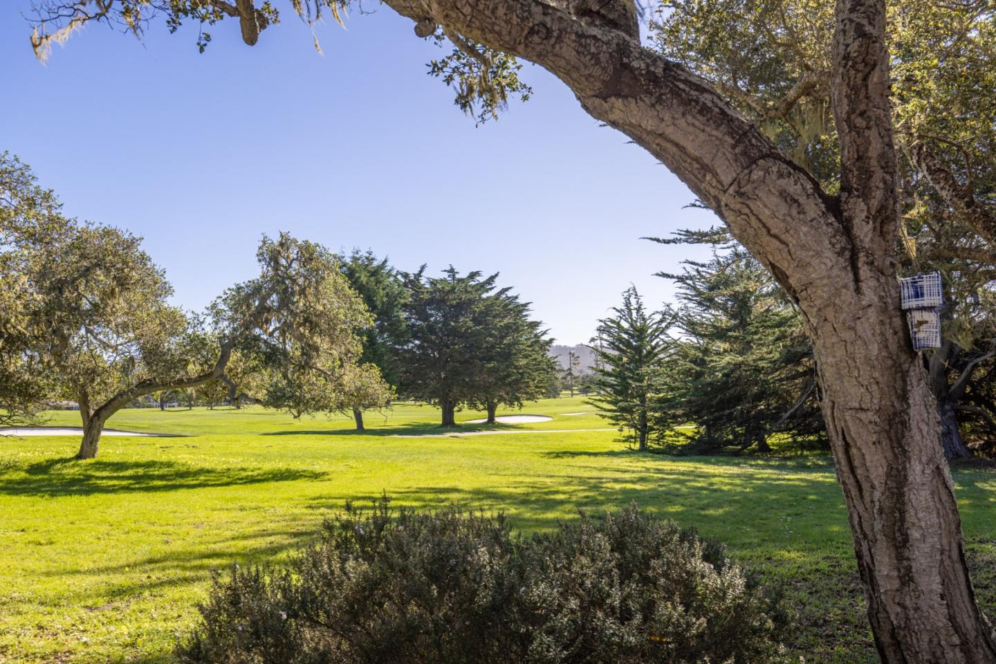 1057 Broncho Road Pebble Beach, CA 93953 - Photo 8 of 21 a view of swimming pool with an outdoor space and seating area