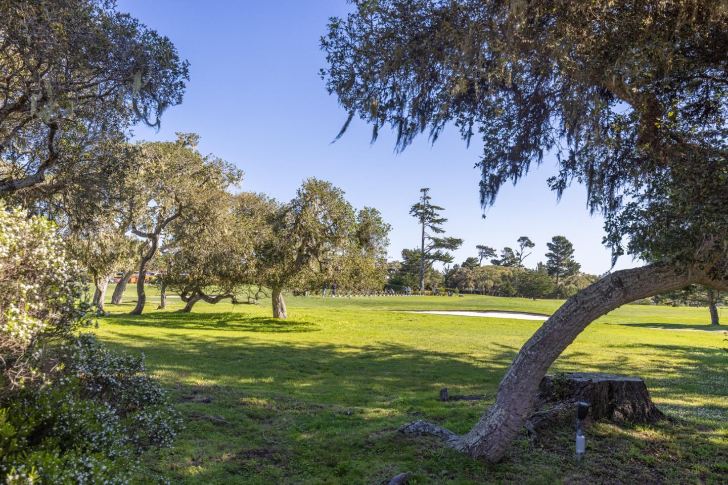 1057 Broncho Road Pebble Beach, CA 93953 - Photo 9 of 21 a view of swimming pool with a yard