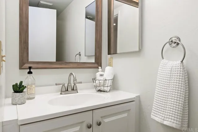 a bathroom with a sink a mirror and a potted plant