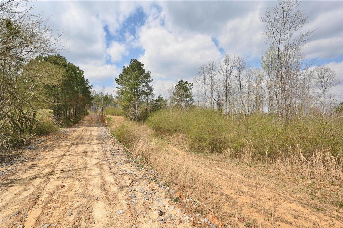 0 Co Road Vinemont, AL 35179 - Photo 3 of 28 Gallery Image 3