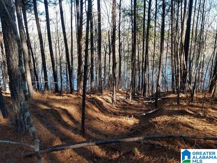 Franklin Ferry Road, Unit 17 Oakman, AL 35579 - Photo 8 of 22