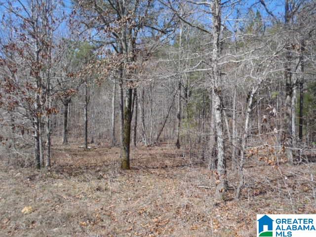 0 Shocco Springs Road, Unit 40 5 AC Talladega, AL 35160 - Photo 9 of 30