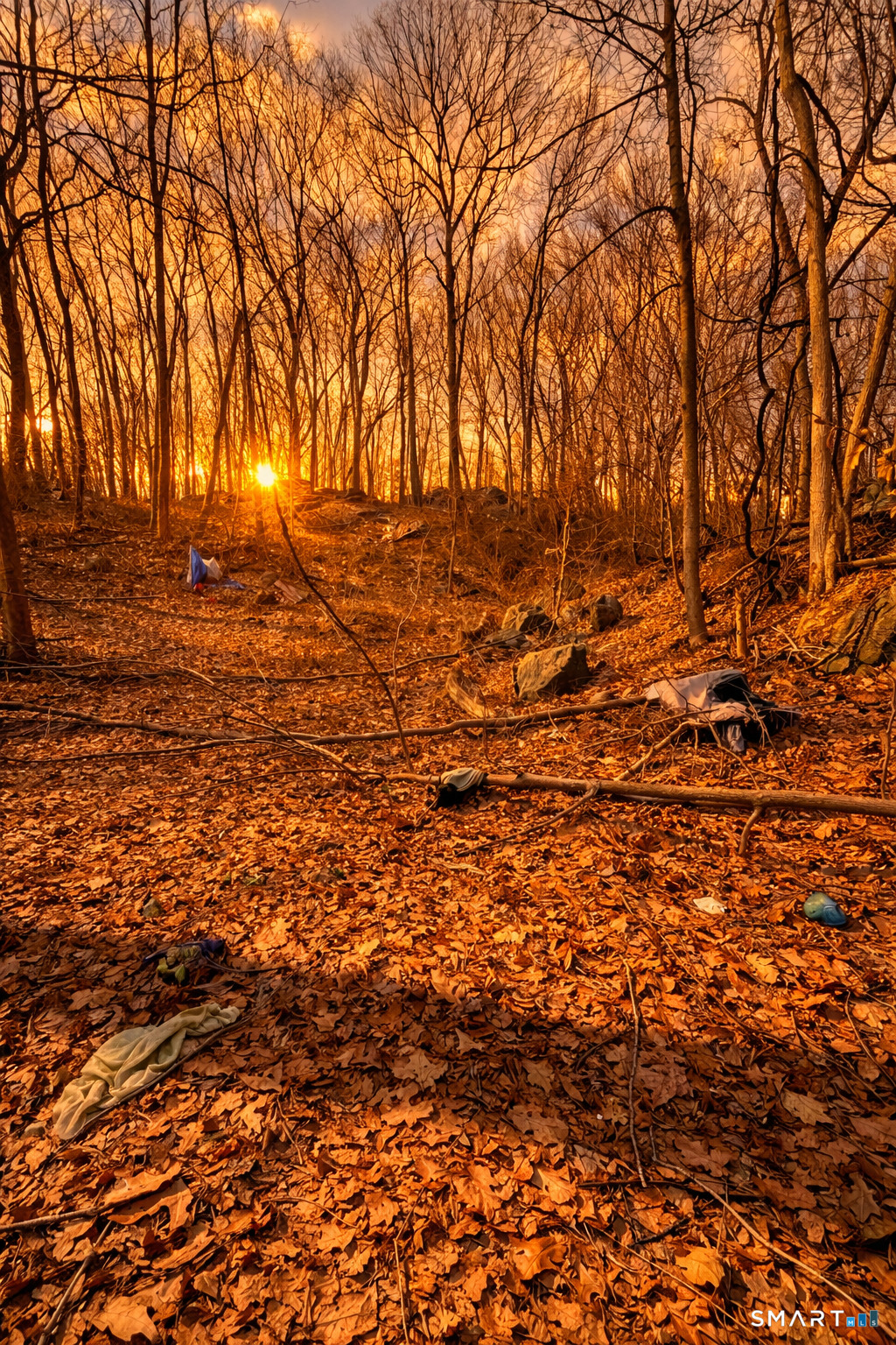 7th Street Norwich, CT 06360 - Photo 4 of 4 a view of empty space with trees