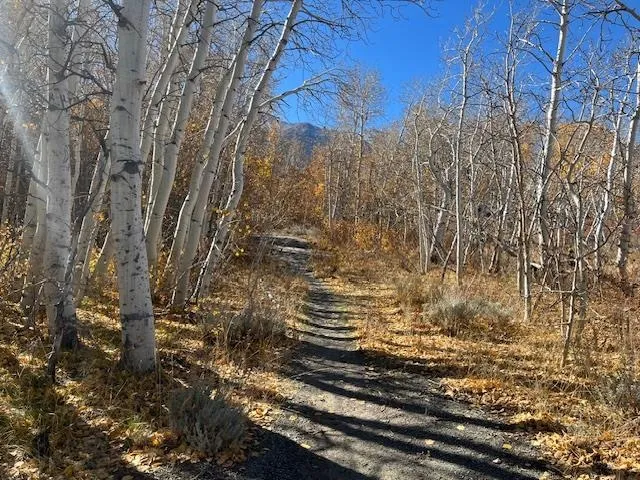 a view of mountain view