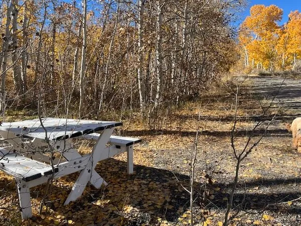 a view of a yard with plants and wooden fence