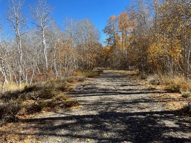 a view of outdoor space with lots of trees