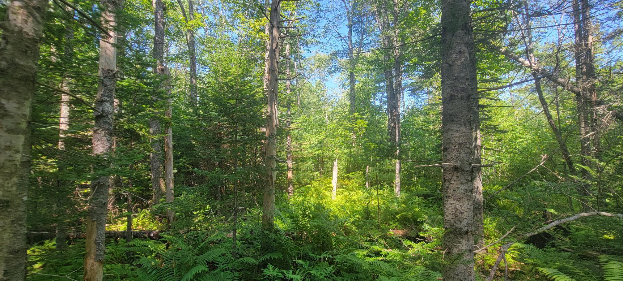 18 Backmeadow Road Waldoboro, ME 04572 - Photo 5 of 12 20230802_103218
