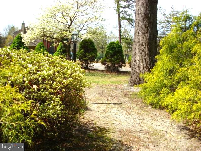 238 Cross Keys Road, Unit AB Berlin, NJ 08009 - Photo 41 of 45