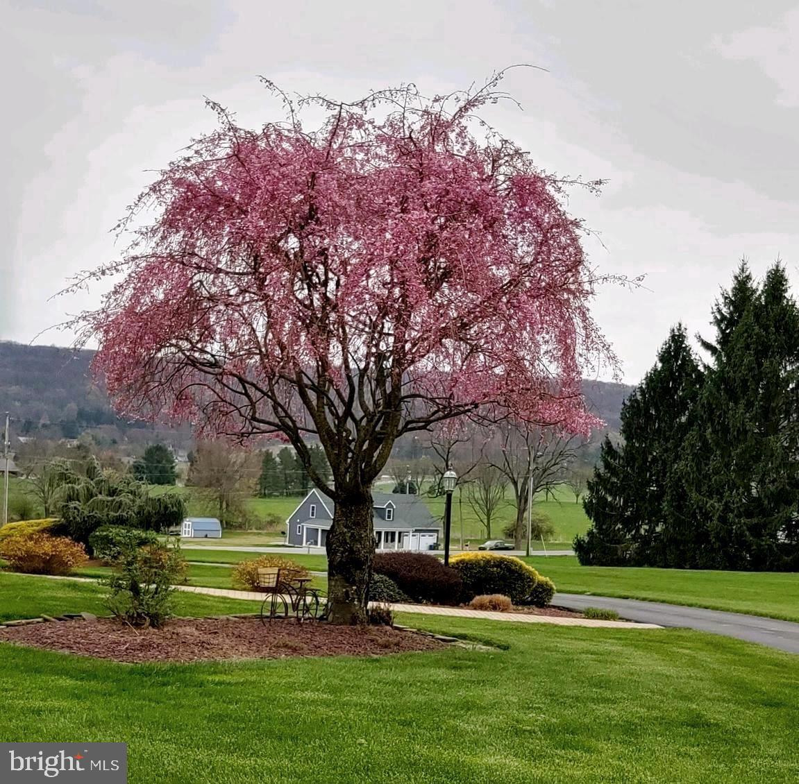 3631 Trout Run Road York, PA 17406 - Photo 16 of 25 Gallery Image 16